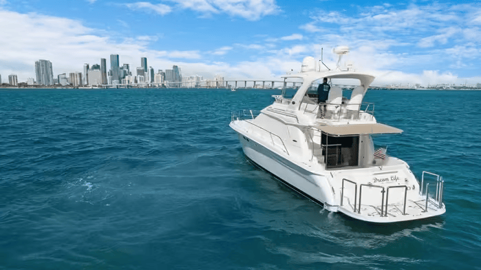 e7769e_70d093ac42d24bc597bf4646762b924amv2